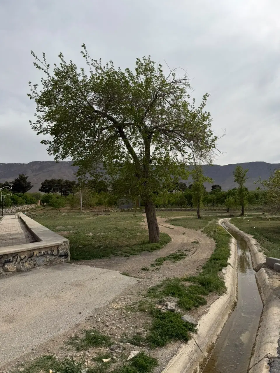 اجاره ویلایی 80 متری تک خواب B3 منهای 60 (n3139)