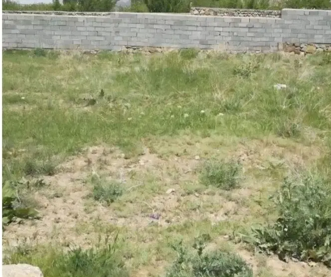 فروش زمین c3